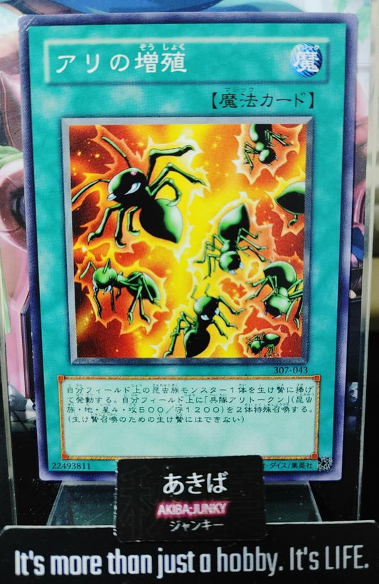 Multiplication of Ants Yugioh 307-043 Yu-Gi-Oh Konami OCG JAPAN
