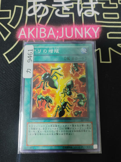 Multiplication of Ants Yugioh 307-043 Yu-Gi-Oh Konami OCG JAPAN