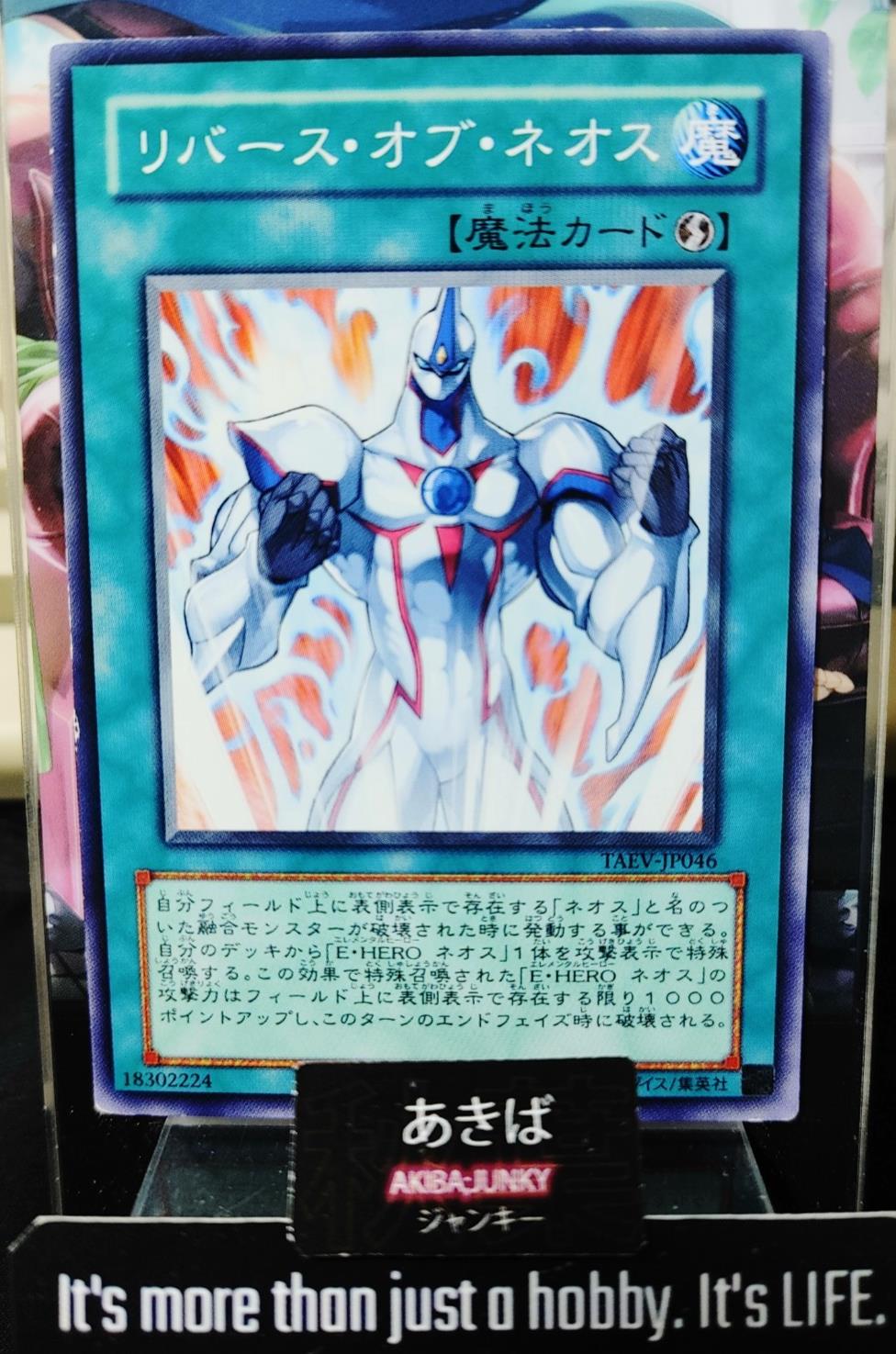 Reverse of Neos Yugioh TAEV-JP046 Yu-Gi-Oh Konami OCG JAPAN