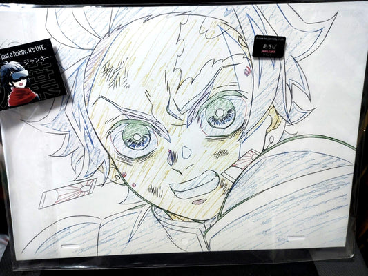 Demon Slayer Cel Print Tanjiro Animation D1 Kimetsu Anime Japan Limited