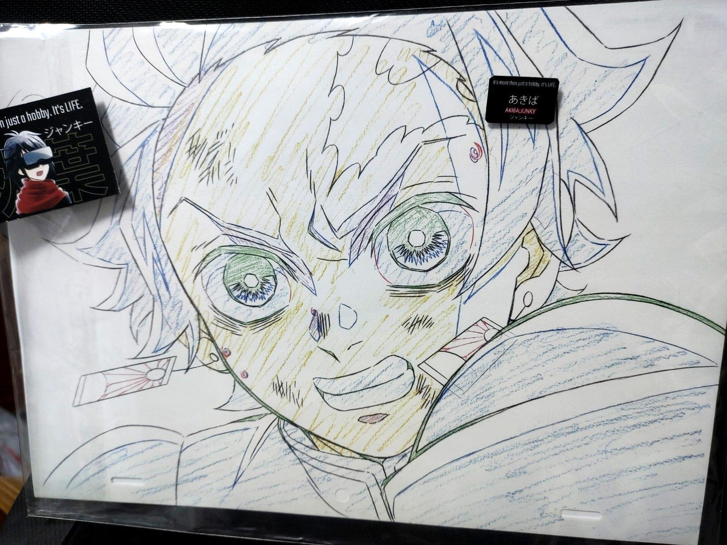 Demon Slayer Cel Print Tanjiro Animation D1 Kimetsu Anime Japan Limited