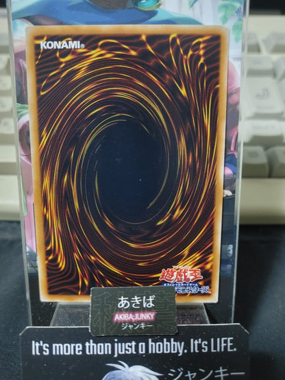 Royal Guard Yugioh OCG Yu-Gi-Oh Vintage Retro Konami OCG JAPAN