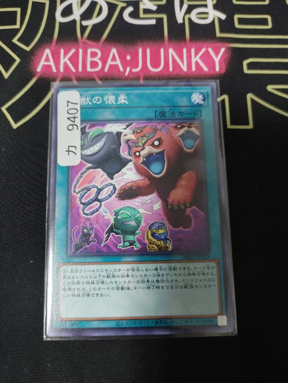 Obedience Schooled Yugioh DBJH-JP029 Yu-Gi-Oh Konami OCG JAPAN