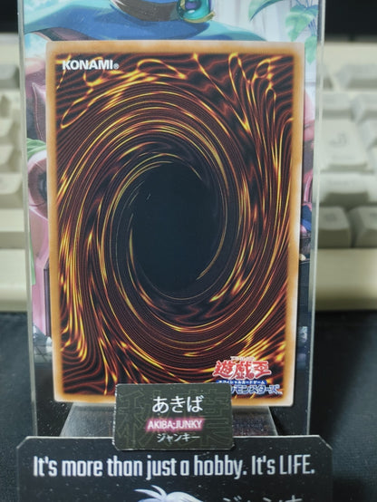 Toon Dark Magician Girl Yu-Gi-Oh QCLP-JP010 Secret Rare Yugioh JAPAN