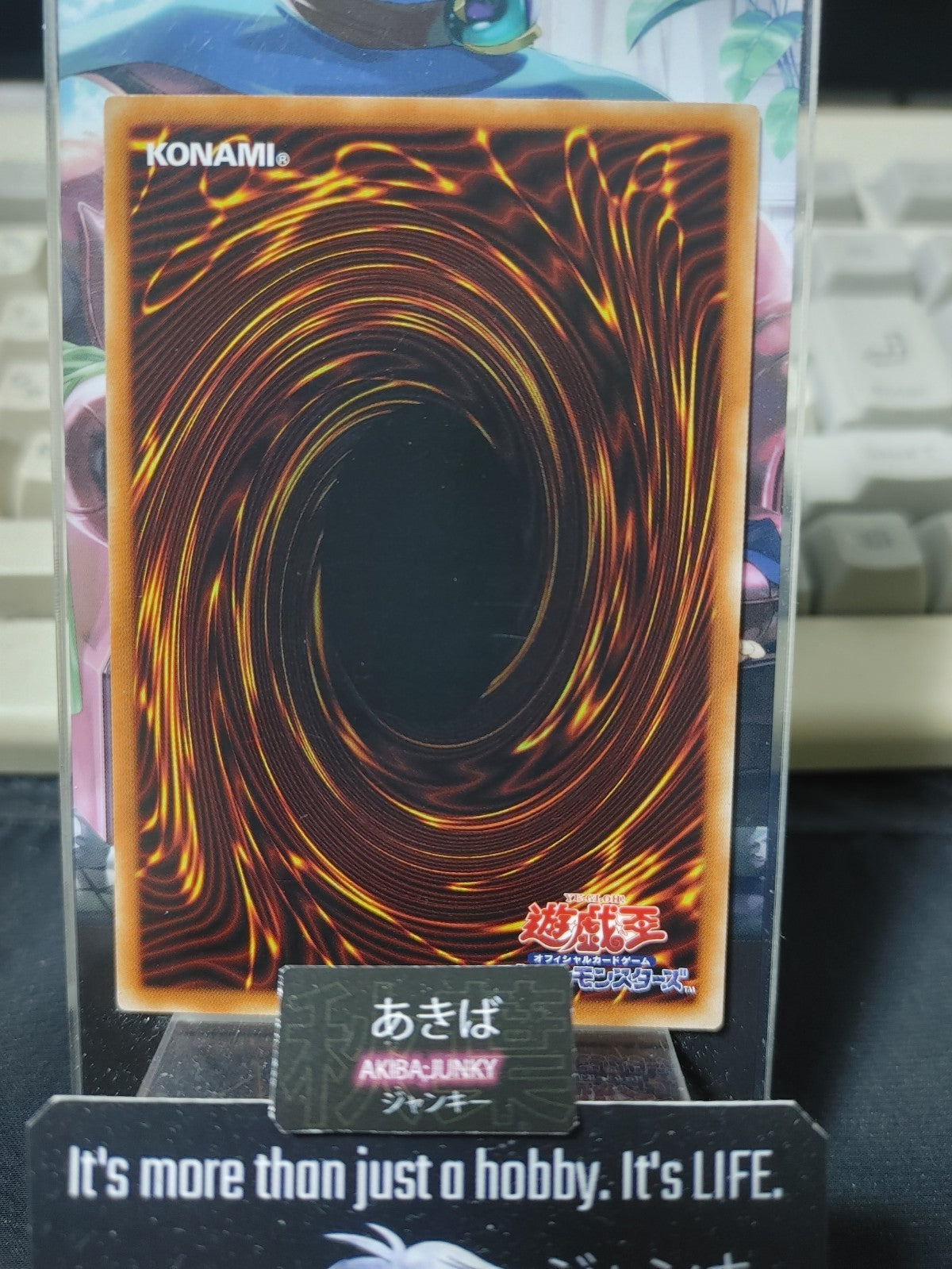 Red-Eyes Darkness Metal Dragon Yugioh SD43-JP007 Yu-Gi-Oh Konami OCG JAPAN