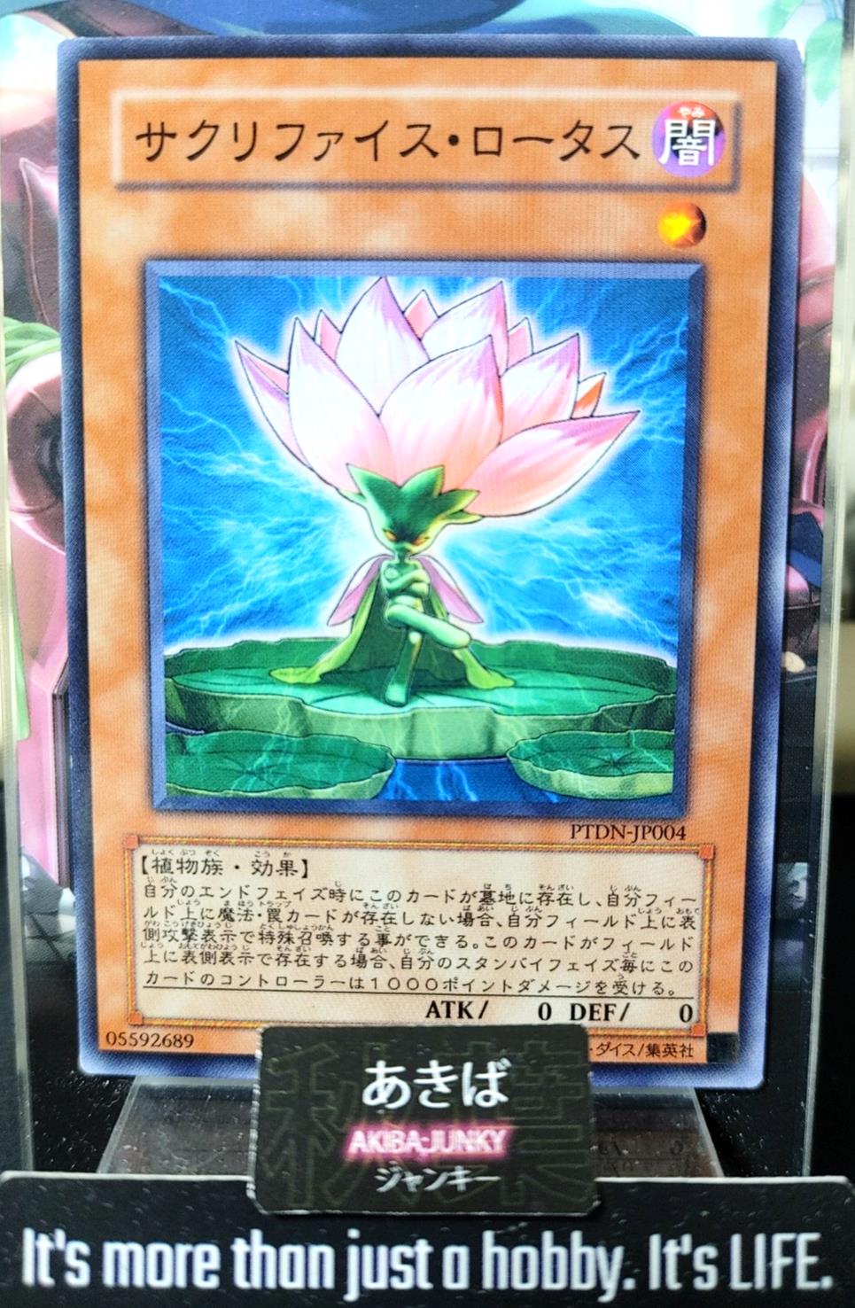 Samsara Lotus Yugioh PTDN-JP004 Yu-Gi-Oh Konami OCG JAPAN