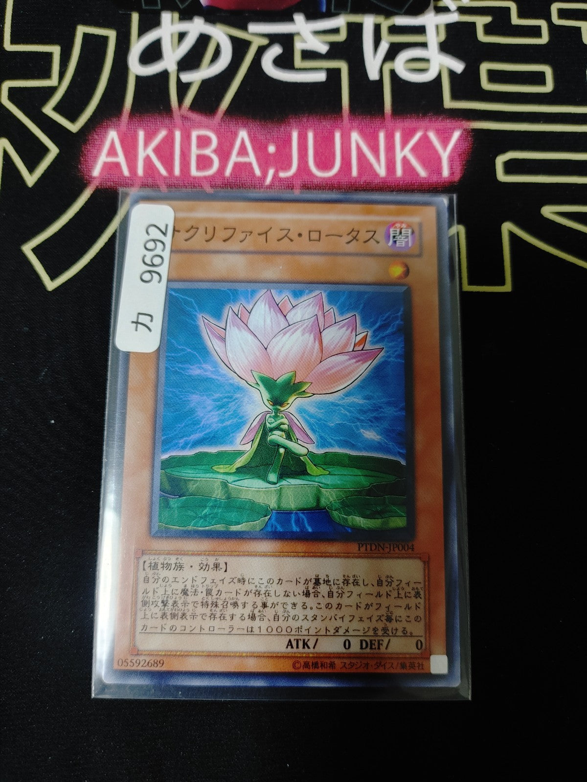 Samsara Lotus Yugioh PTDN-JP004 Yu-Gi-Oh Konami OCG JAPAN