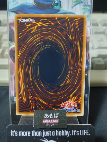 Nubian Guard Yugioh 309-011 Yu-Gi-Oh Konami OCG JAPAN
