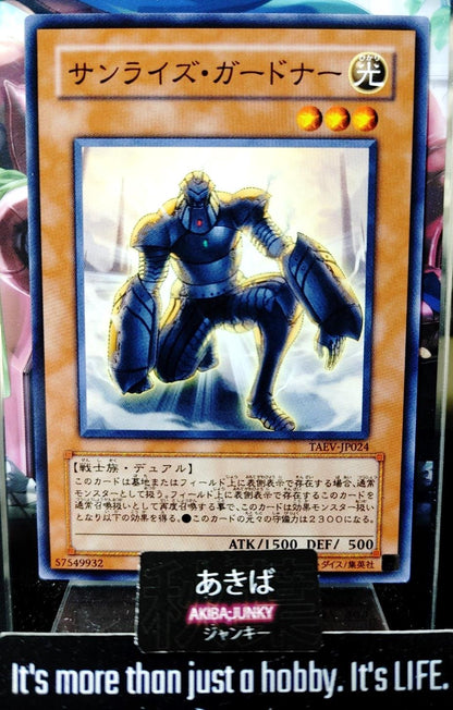 Dawnbreak Gardna Yugioh TAEV-JP024 Yu-Gi-Oh Konami OCG JAPAN
