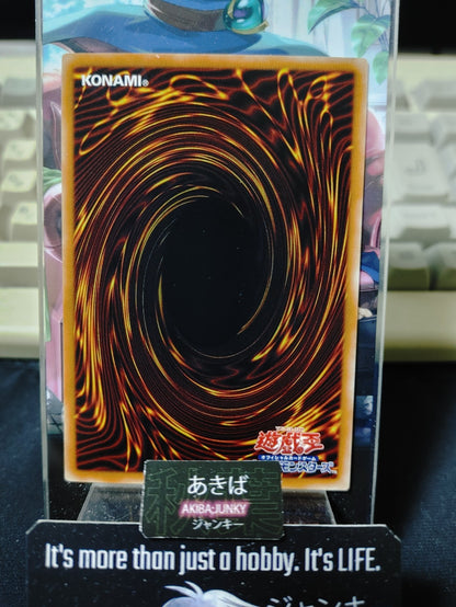 Amplifier Yugioh DP24-JP043 Yu-Gi-Oh Konami OCG JAPAN