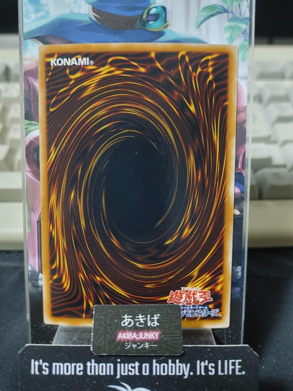 Elemental HERO Poison Rose Yugioh PP10-JP003 Secret Rare OCG JAPAN UNCENSORED