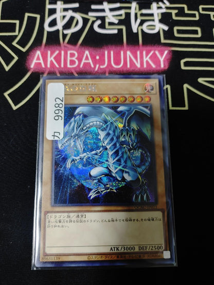Blue-Eyes White Dragon Yugioh QCAC-JP021 Secret Rare Earth OCG JAPAN