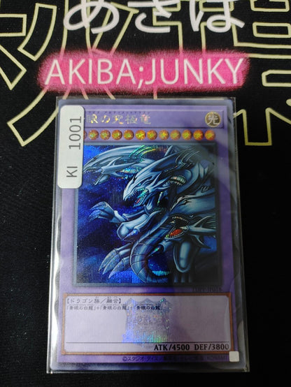 Blue-Eyes Ultimate Dragon TDPP-JP018 Secret Rare Logo Yugioh OCG JAPAN