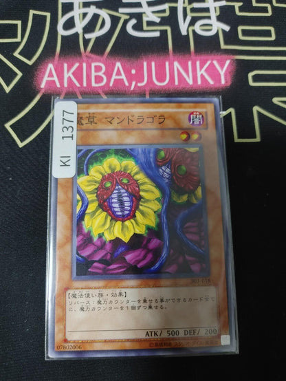 Magical Plant Mandragola Yugioh 303-018 Yu-Gi-Oh Konami OCG JAPAN