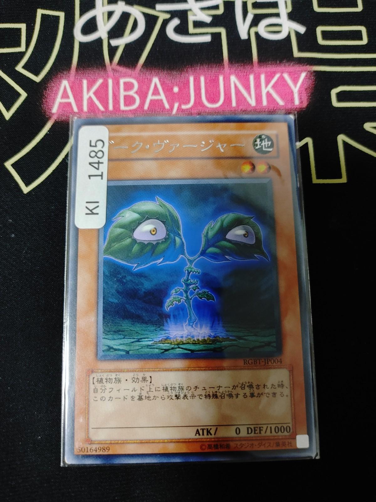 Dark Verger Yugioh RGBT-JP004 Rare Yu-Gi-Oh Konami OCG JAPAN