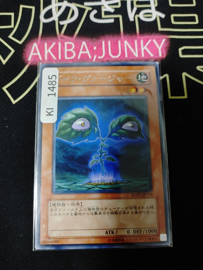 Dark Verger Yugioh RGBT-JP004 Rare Yu-Gi-Oh Konami OCG JAPAN