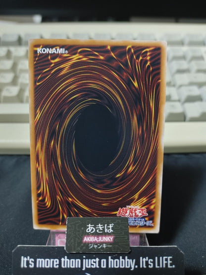 Elemental HERO Neos Yu-Gi-Oh QCCU-JP014 Quarter Century Secret Rare Yugioh JAPAN