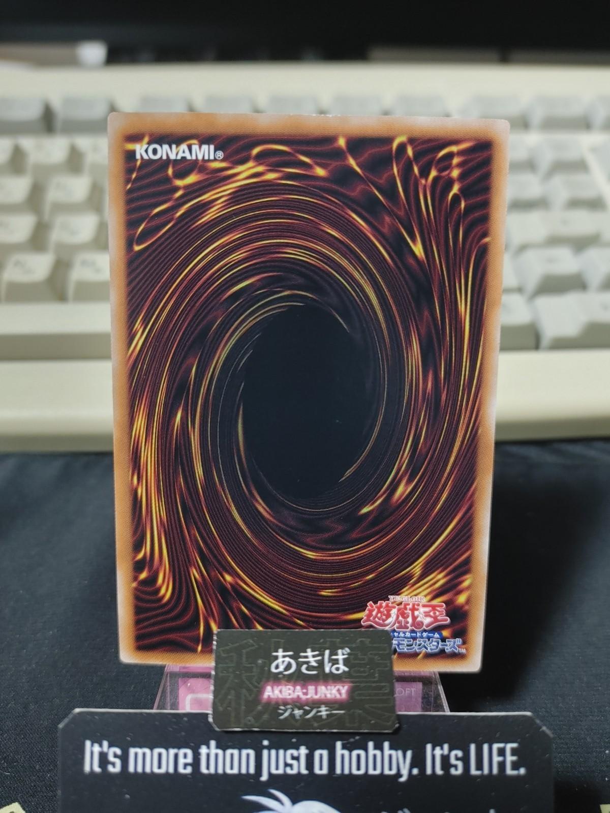 Dark Magician the Dragon Knight Yugioh 24TP-JP205 Parallel Yu-Gi-Oh OCG JAPAN