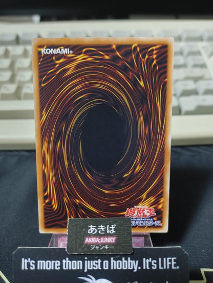 Wiz, Sage Fur Hire Yugioh DBDS-JP022 Parallel Rare Konami OCG JAPAN