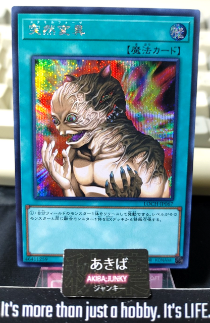 Metamorphosis Yugioh LOCH-JP067 Secret Rare Konami OCG JAPAN