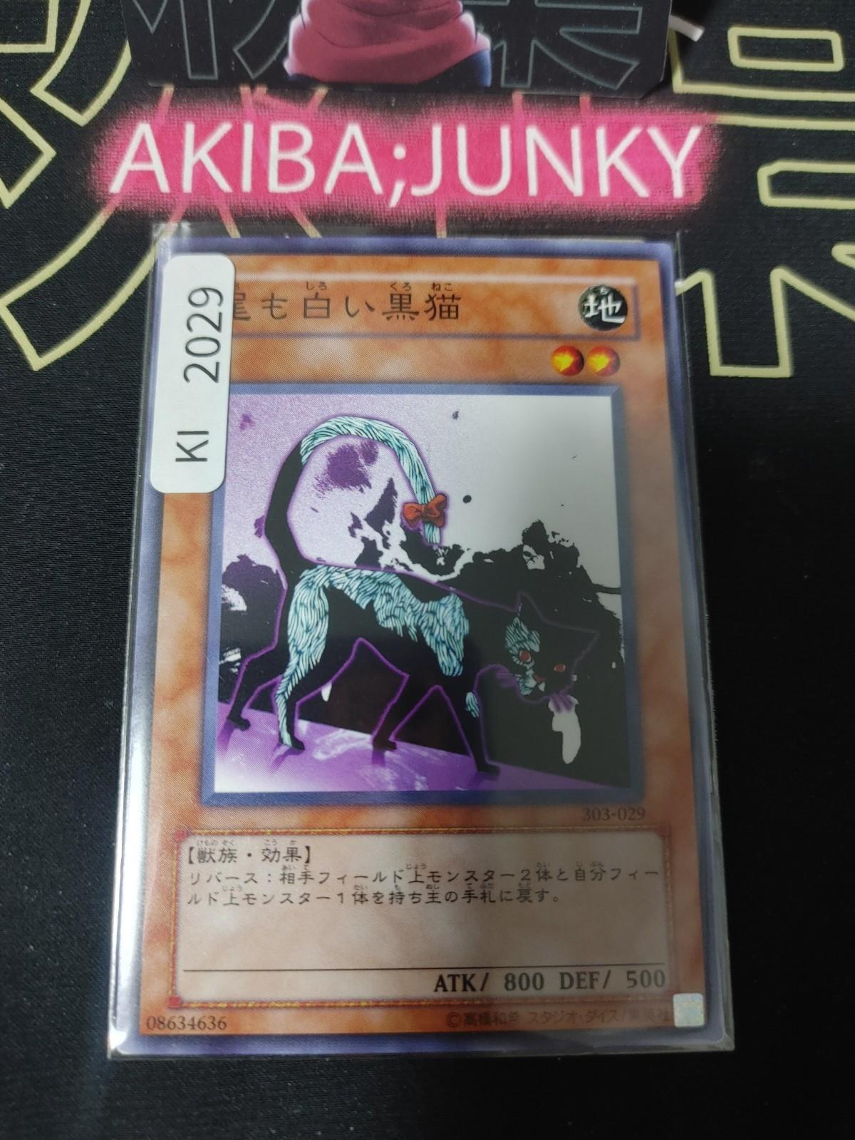 Dark Cat with White Tail Yugioh 303-029 Yu-Gi-Oh Konami OCG JAPAN
