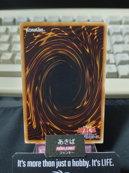 Catnipped Kitty Yugioh EE3-JP133 Yu-Gi-Oh Konami OCG JAPAN