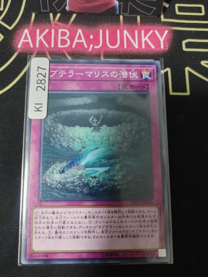 Subterror Behemoth Burrowing Yugioh EP17-JP016 Konami OCG JAPAN