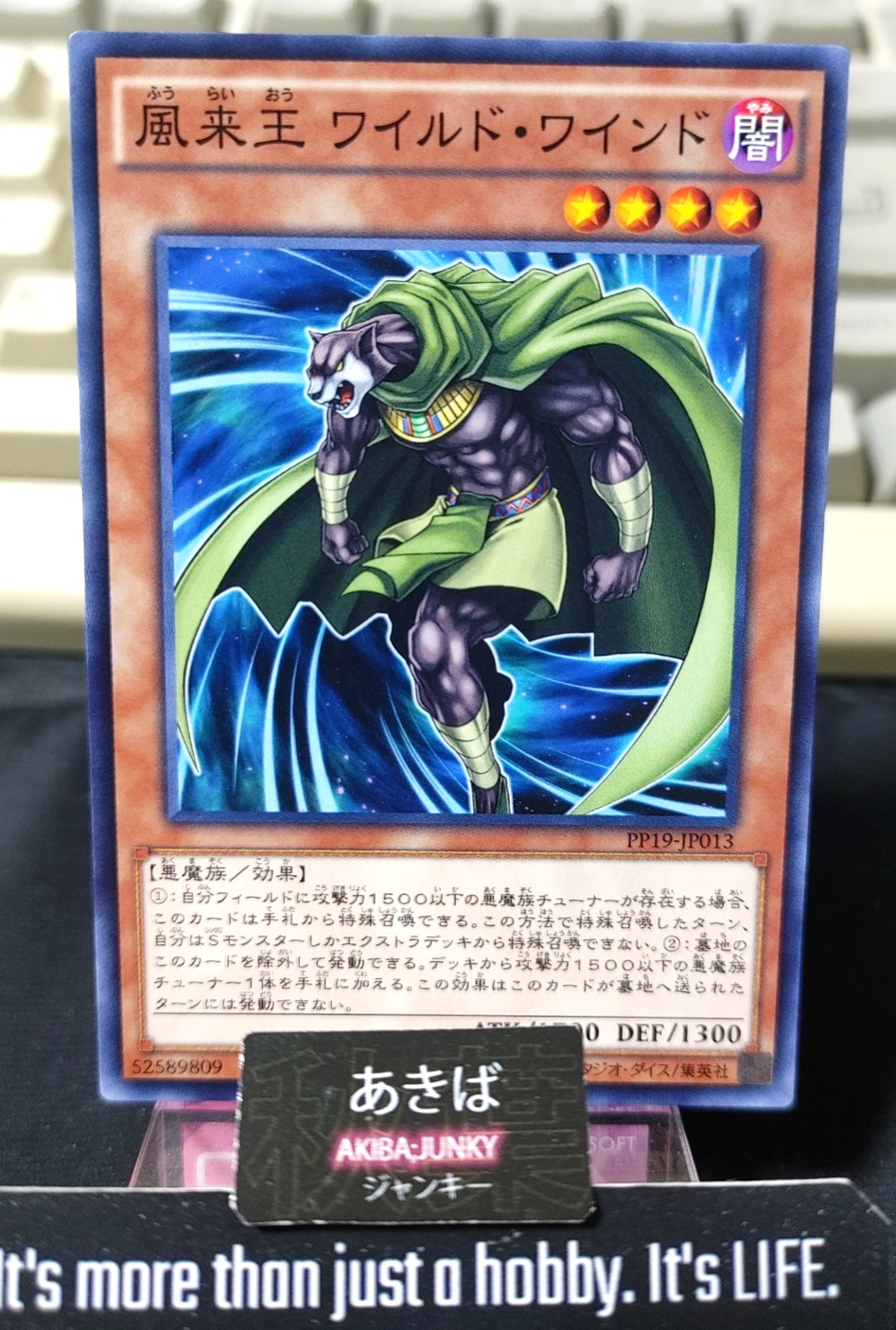 Wandering King Wildwind Yugioh PP19-JP013 Konami OCG JAPAN