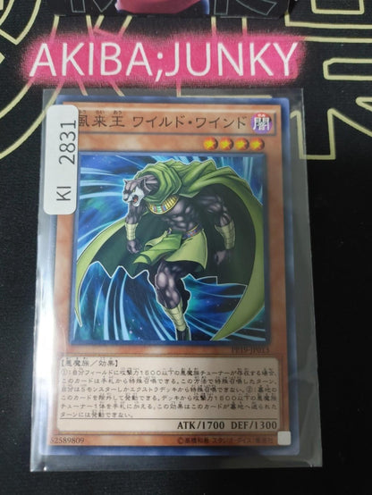 Wandering King Wildwind Yugioh PP19-JP013 Konami OCG JAPAN
