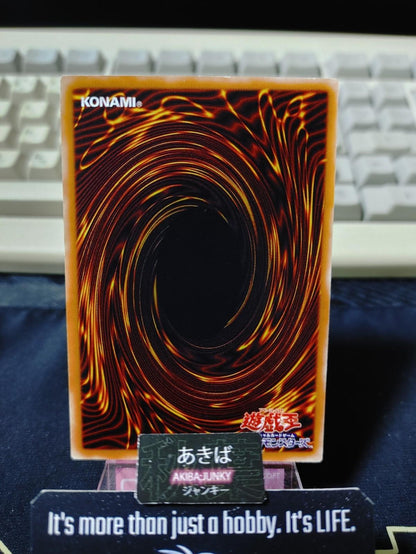 Des Dendle Yugioh 302-015 Yu-Gi-Oh Konami OCG JAPAN