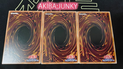 Blue-Eyes of the Heart ROTA-JP004 Yu-Gi-Oh Ultra Rare Yugioh Konami JAPAN (3x Set) ★AKIBA JUNKY SELECT PRODUCT★