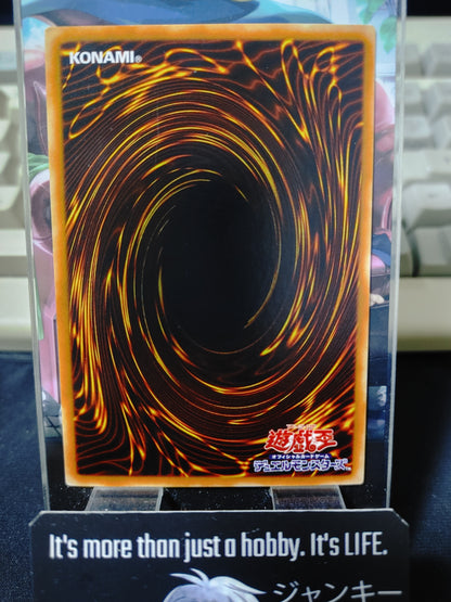 Dark Paladin Yugioh SY2-001 Ultra Rare Yu-Gi-Oh OCG JAPAN