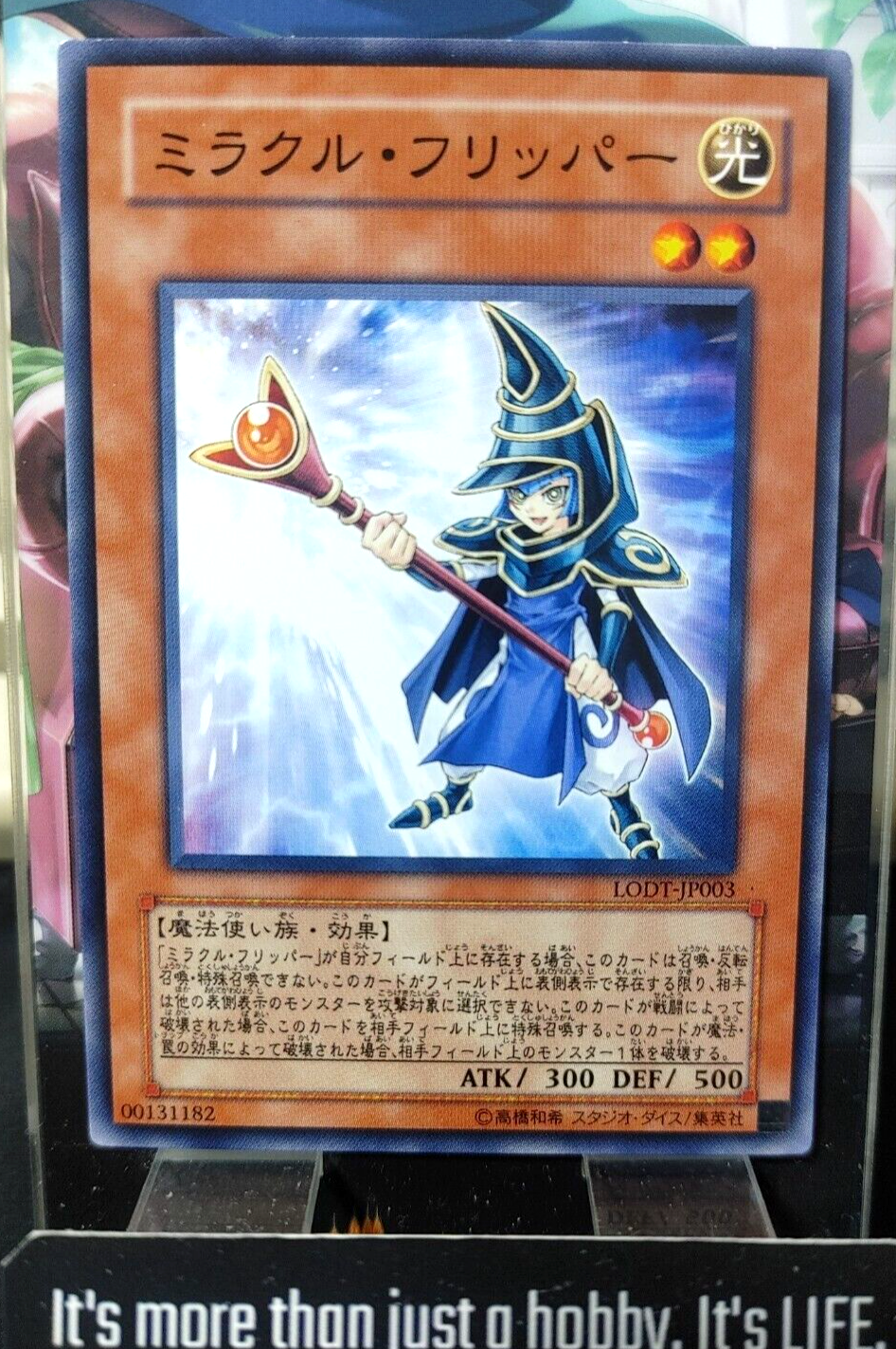47427231