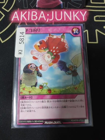 Hunting Strawberries Yugioh RD/KP09-JP064 Rush Duel Yu-Gi-Oh Konami JAPAN