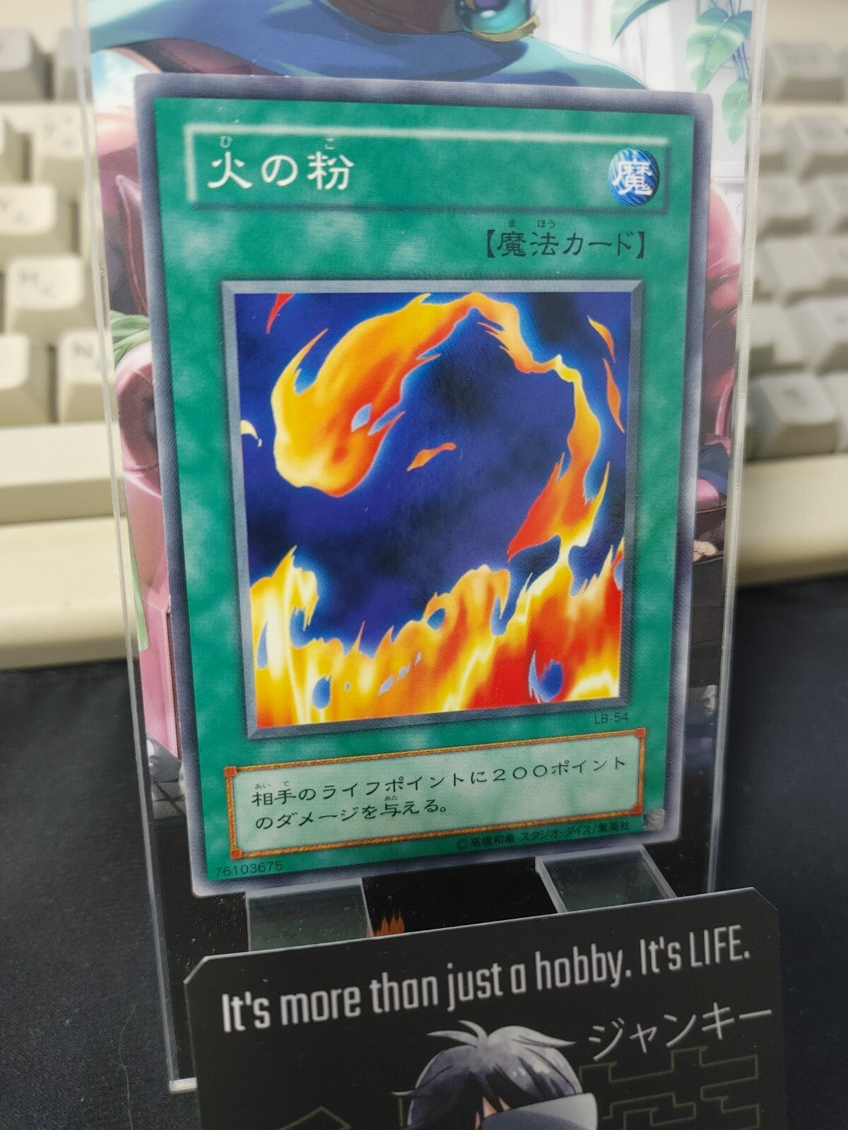 47429246