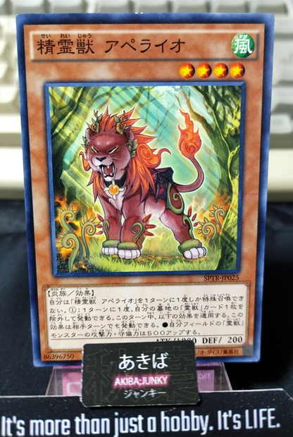 47435077