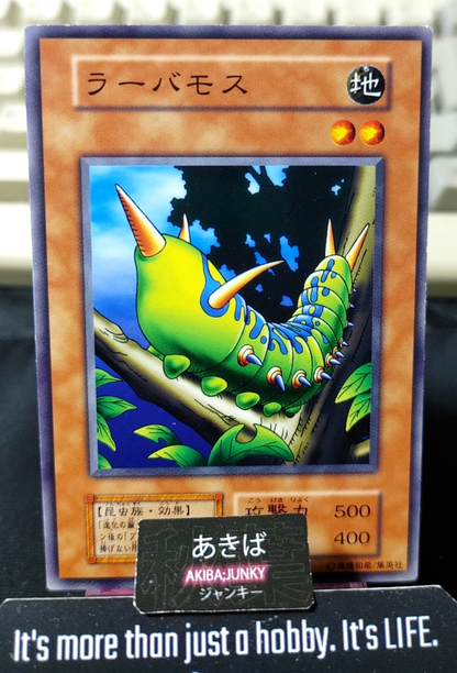 Larvae Moth Yugioh Yu-Gi-Oh Konami OCG JAPAN