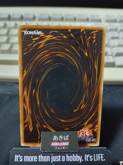 Turtle Bird Yugioh Yu-Gi-Oh Konami OCG JAPAN