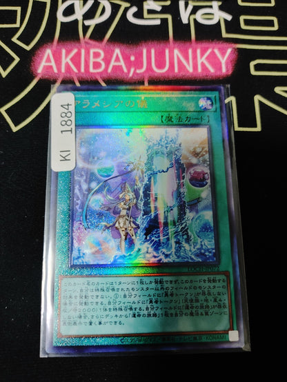 47422407