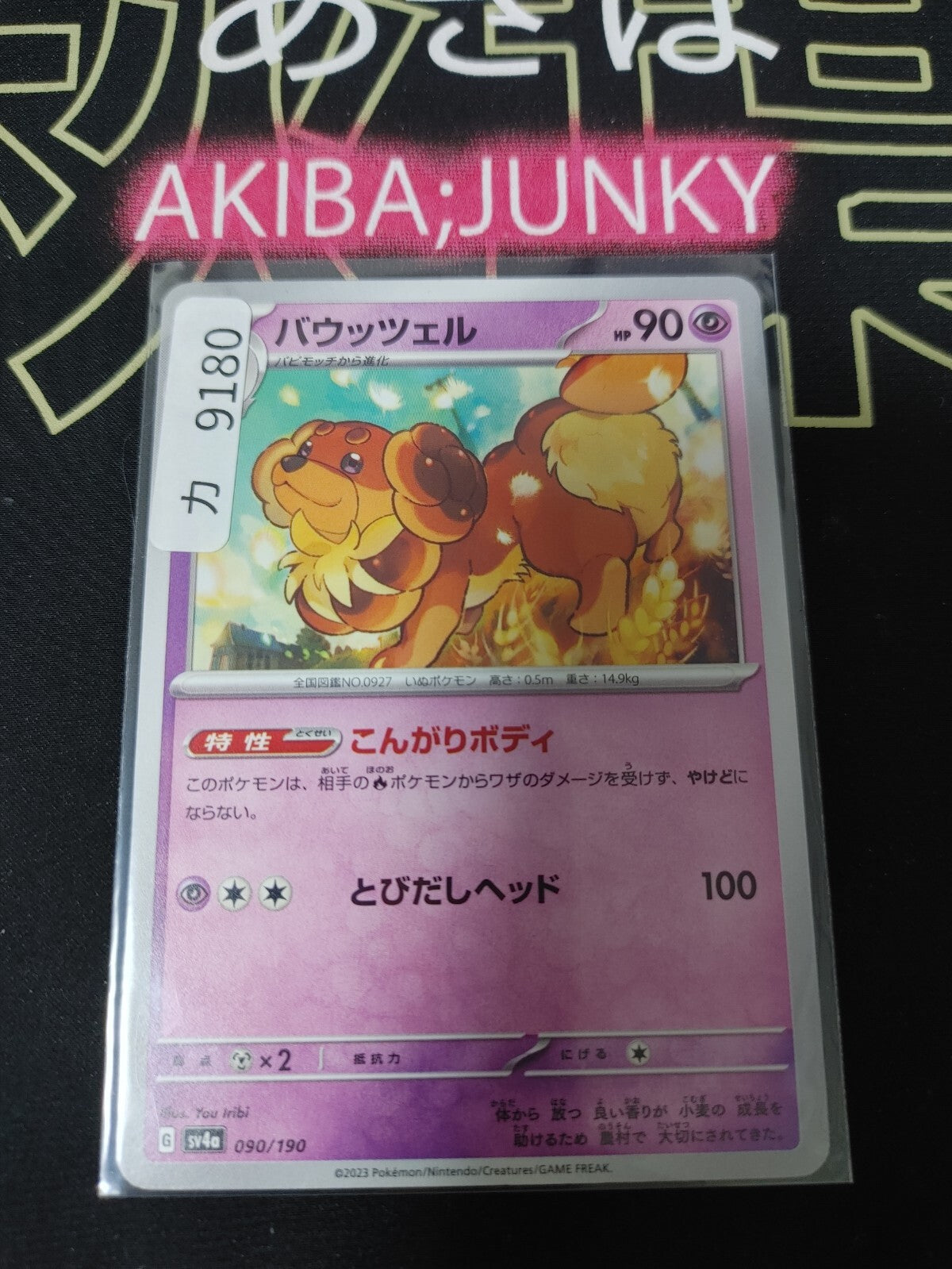47430469