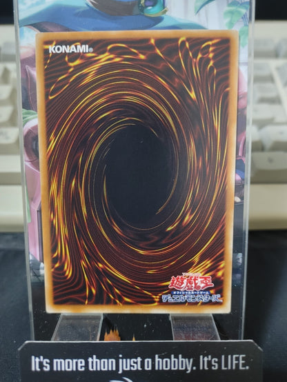 47425504