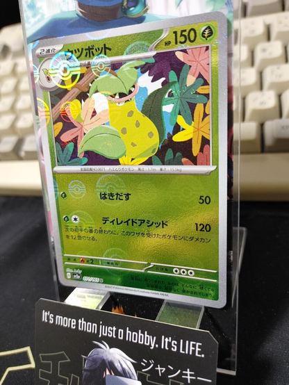 47435620