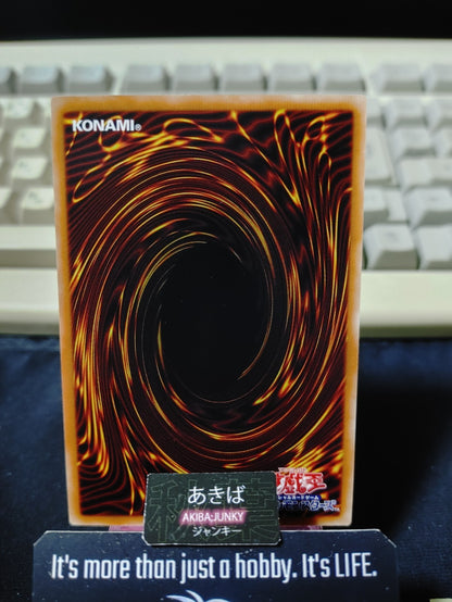Amazoness Call Yugioh DP27-JP045 Yu-Gi-Oh Konami OCG JAPAN