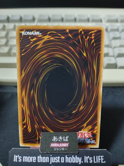 Absorb Fusion Yugioh SPRG-JP044 Parallel Rare Konami OCG JAPAN