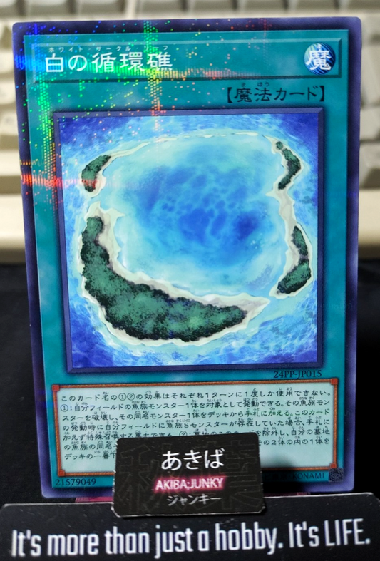 White Circle Reef Yugioh 24PP-JP015 Parallel Yu-Gi-Oh Konami OCG JAPAN