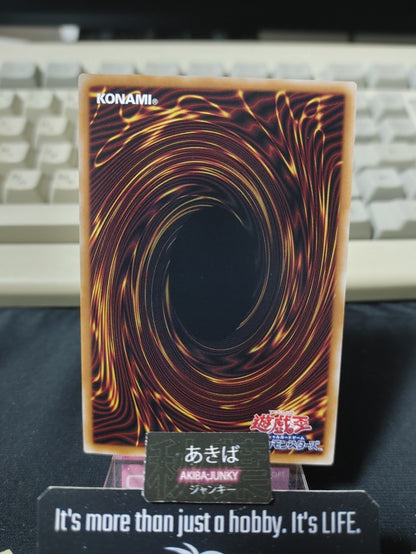 47424954