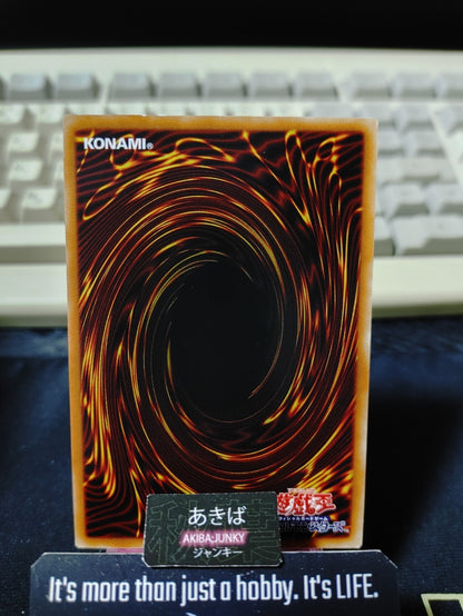 Amazoness Baby Tiger Yugioh DP27-JP040 Yu-Gi-Oh Konami OCG JAPAN