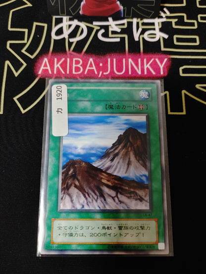 47429257