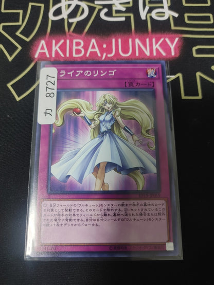 47431419