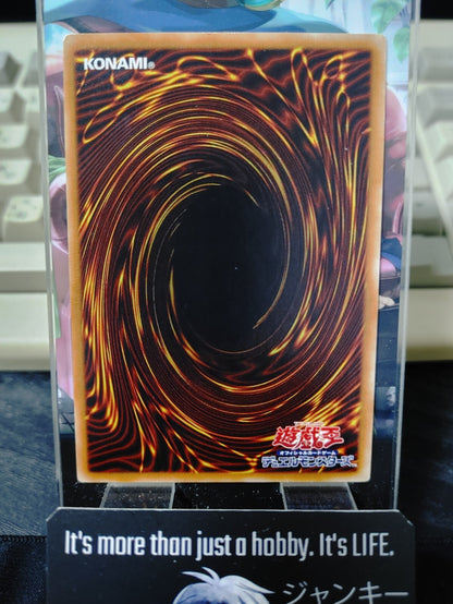 47425002